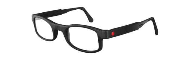 Dot Glasses - Smart Assistive Eyewear
